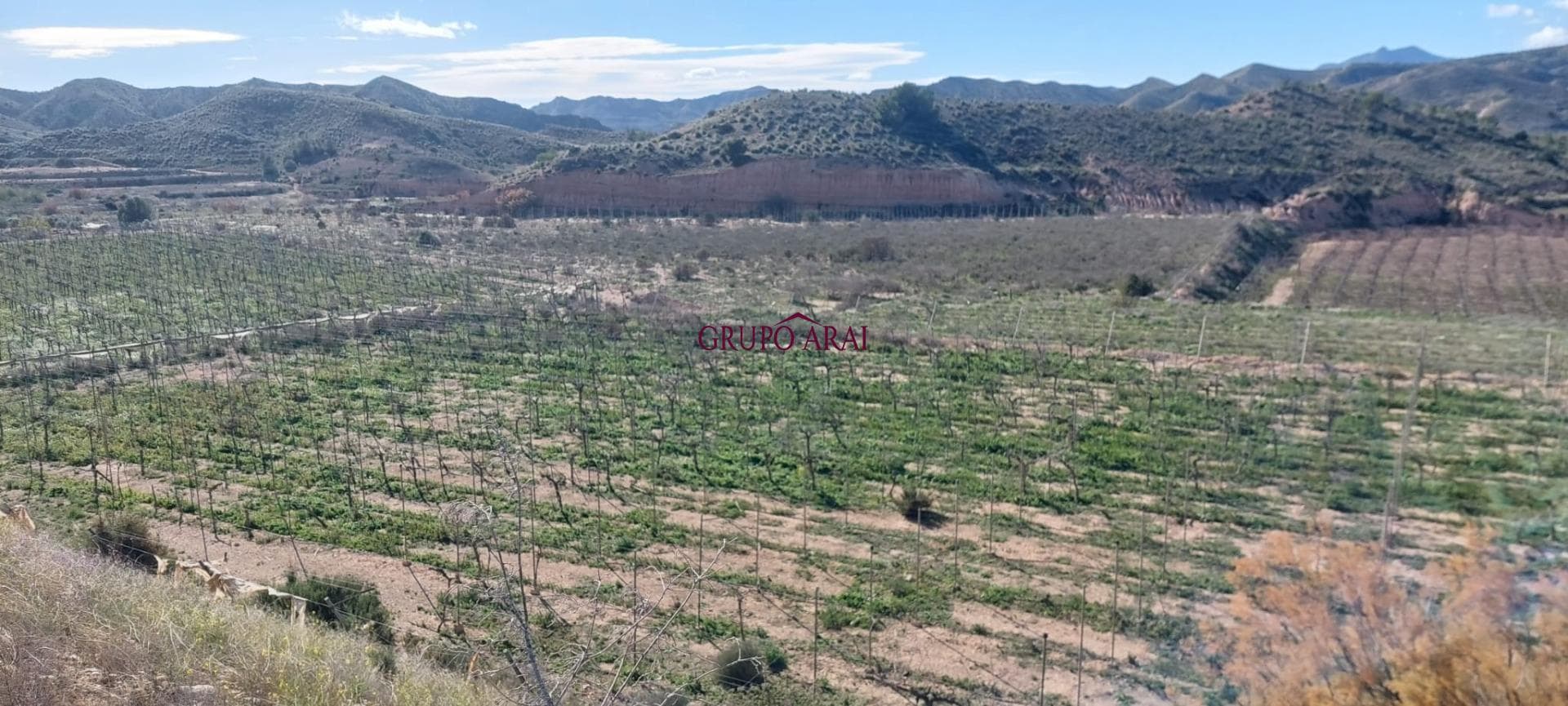 Terreno Rural en Alenda Golf